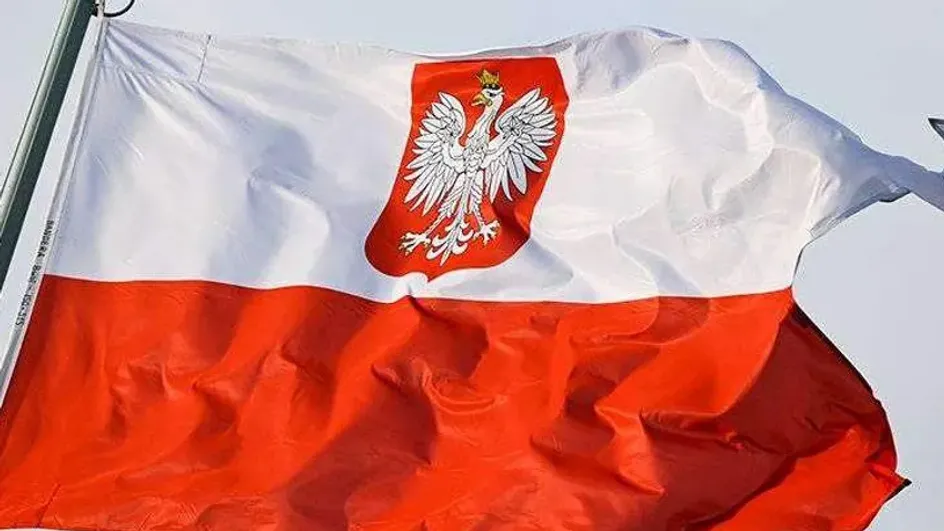 Глава МИД Польши Сикорский не исключил отправки ВС на Украину