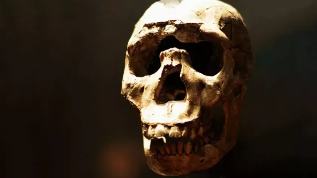 Science: Древние люди прошли через "бутылочное горлышко" 900 тысяч лет назад