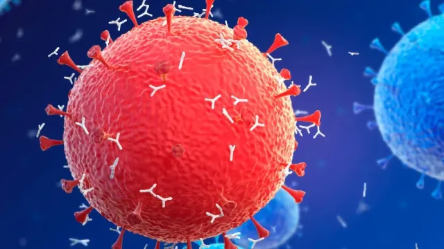 Елена Малышева смоделировала работу антител во время инфицирования вирусом гриппа