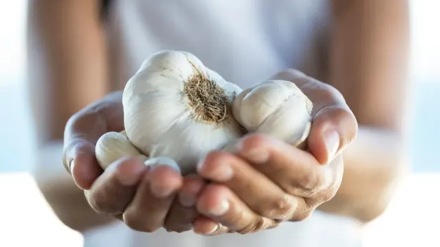 Чеснок оказался полезен для памяти и настроения