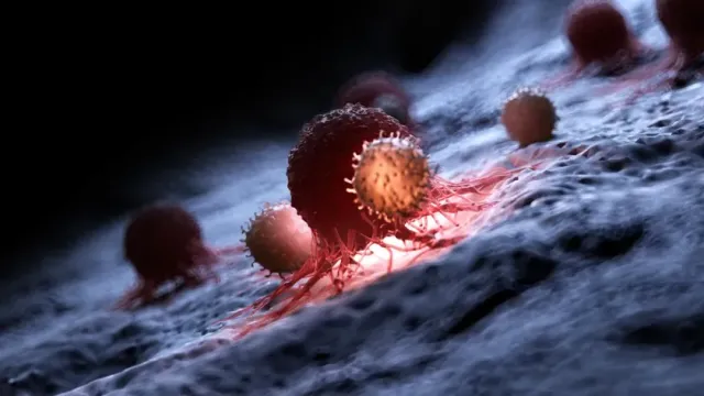 РБК: Ученые оценили потенциал лечения рака с помощью коронавируса