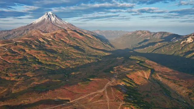 Сервис «Зеленая кнопка» подвел итоги 2025 года