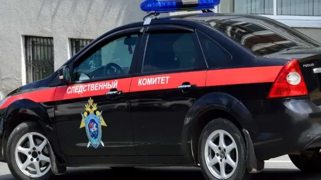 В Псковской области нашли тело 11-летней девочки, пропавшей в Новый год