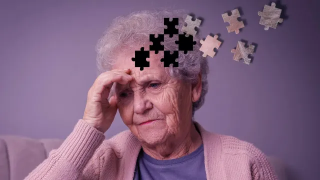 Микропластик может повреждать сосуды мозга и усиливать старческое слабоумие