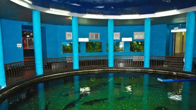 РБК опубликовало кадры последствий шторма для аквариума в Севастополе