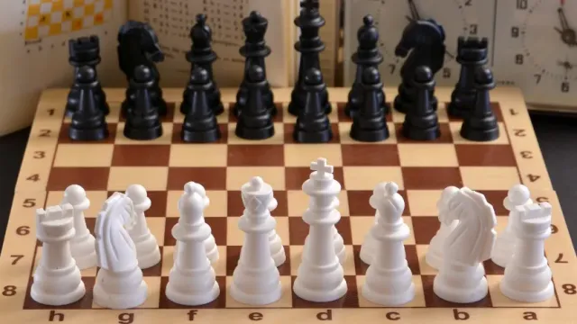 В Санкт-Петербурге Международный день шахмат закончился поножовщиной