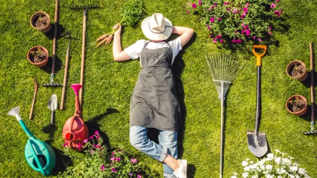 Россиянам рассказали, как правильно начать дачный сезон в марте