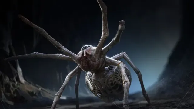 Daily Star: Биолог Докинз предположил, что инопланетяне похожи на больших пауков