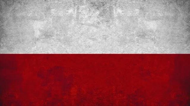 «ВЗГЛЯД» проинформировал, что водители из Польши ответят за действия Варшавы