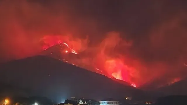 Пожар в Геленджике приблизился к «Сафари-парку»