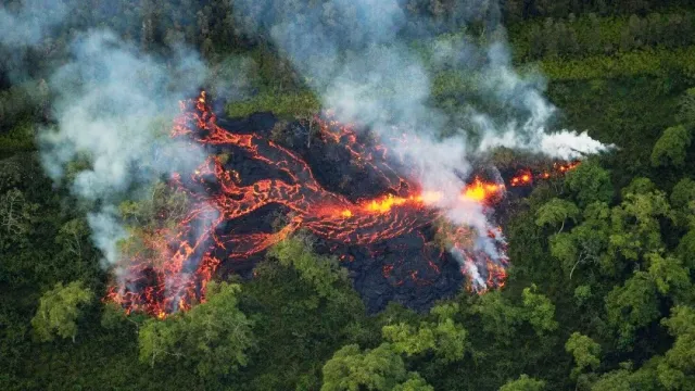Газета.Ru: извержения вулканов вызывали лесные пожары в Антарктиде 75 миллионов лет назад