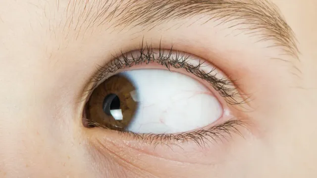 Профессор прокомментировал мифы о пользе гимнастики для глаз