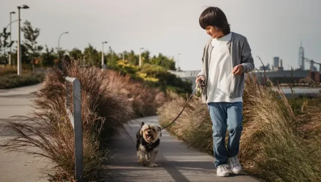 В Красноярске 11-летний мальчик после ссоры с родителями ушел гулять с собакой и исчез