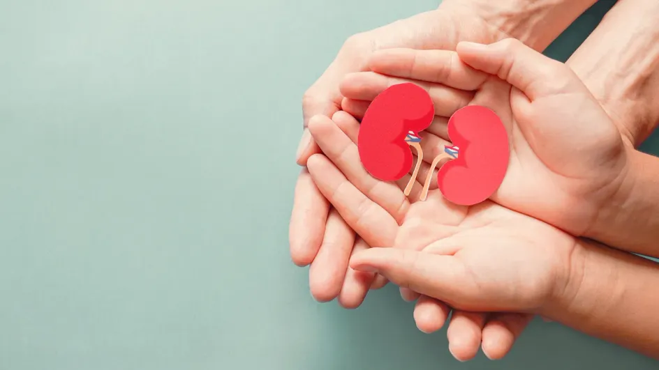 Назван возраст, в котором почки начинают терять свою функцию