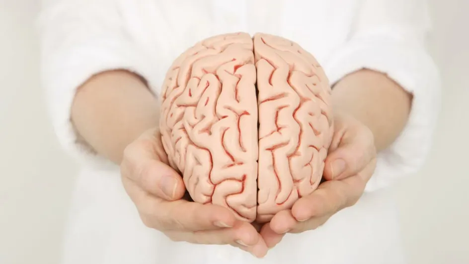 Ученые нашли способ снизить возраст мозга на один год