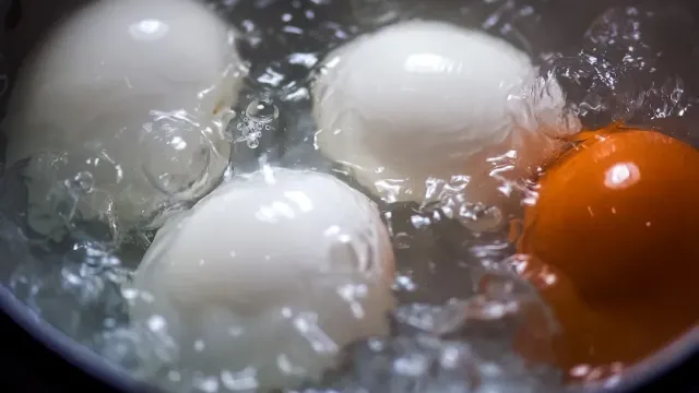 Физик Денис Кузьмин рассказал, как правильно сварить яйца без трещин