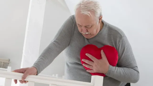 Ученые нашли способ ускорить восстановление сердца после инфаркта