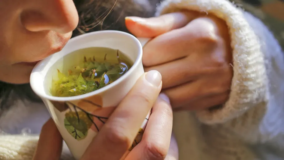 Врач рассказал, существуют ли полезные для почек травы