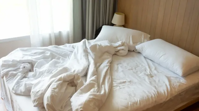 Ученые выяснили, чего боятся постельные клопы