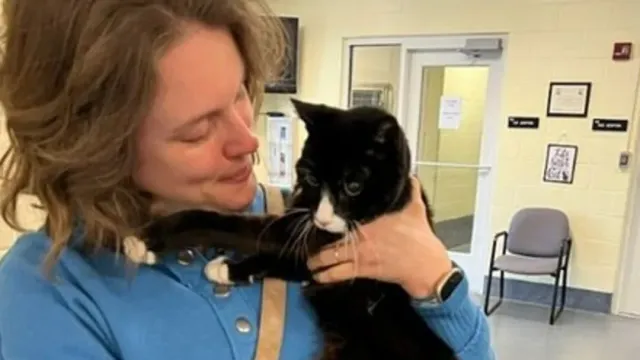 Пропавшую кошку вернули хозяйке спустя девять лет