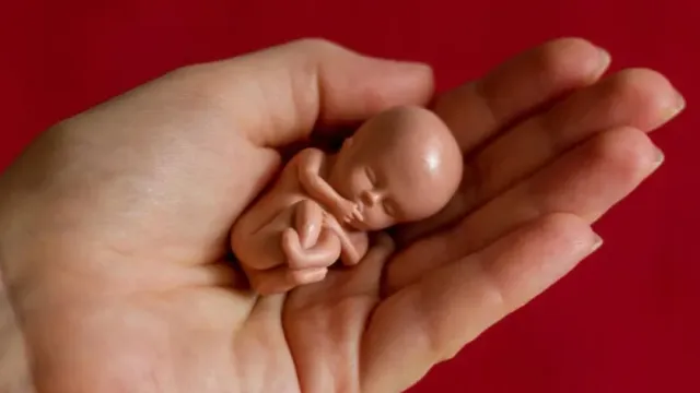 РИА Новости: гинеколог в Ростове объяснила, что безопасного аборта не существует