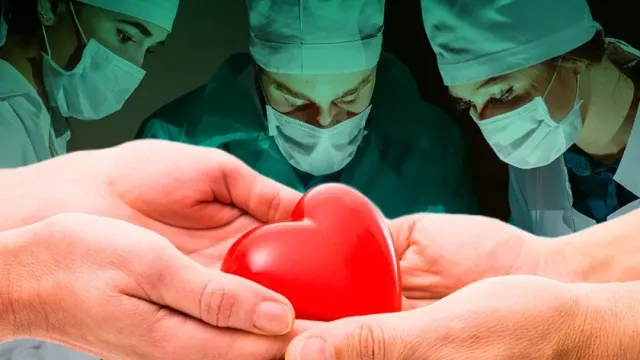 В Америке умер 2-й пациент, которому пересадили сердце свиньи, спустя 6 недель