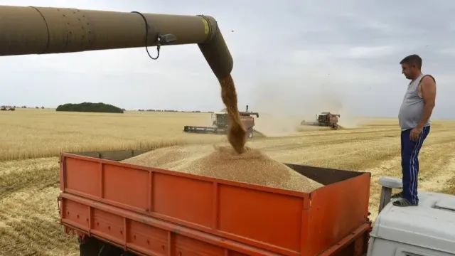 Водитель КАМАЗа из Новосибирска задохнулся в яме с семечками