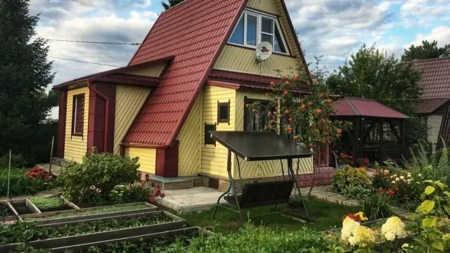 Россиянам грозит тюрьма за некоторые растения и грибы на даче