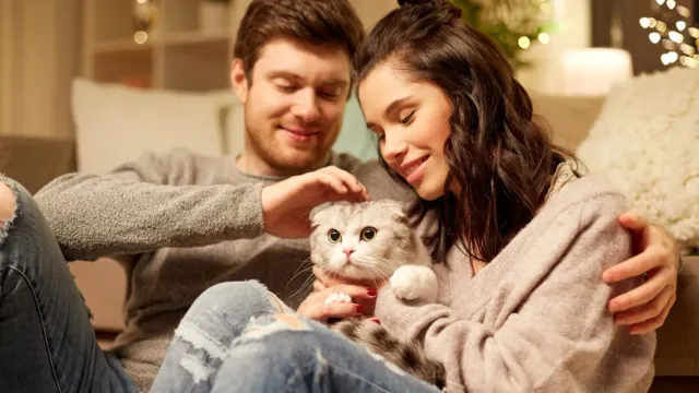 Горячая новость | Ученые назвали нестандартный способ улучшить отношения в паре