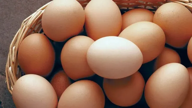 ФАС прогнозирует снижение стоимости яиц и мяса птицы в России
