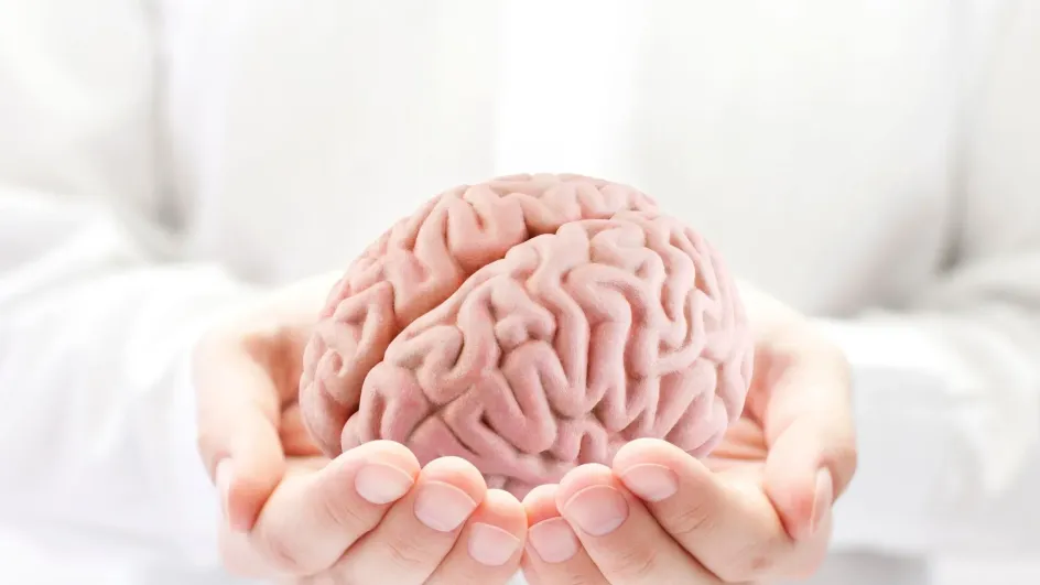 Россиянам назвали простой способ замедлить старение мозга