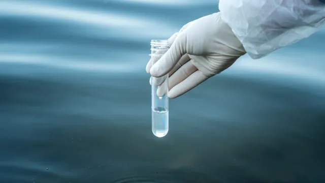 Россиянам рассказали, как проверить воду на чистоту в домашних условиях