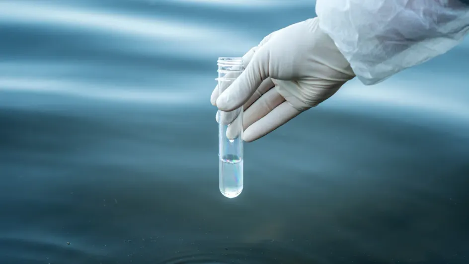 Россиянам рассказали, как проверить воду на чистоту в домашних условиях