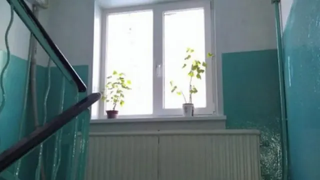 Житель Петербурга, выбросивший из окна собственную мать, избежал наказания