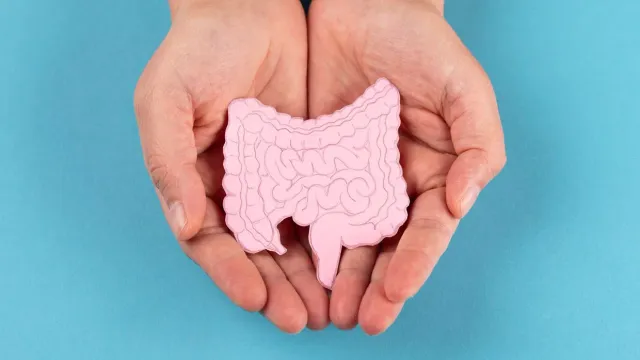 Врач назвал три привычки, которые наносят урон кишечнику