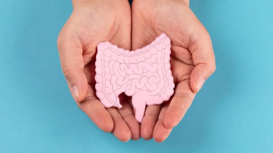 Врач назвал три привычки, которые наносят урон кишечнику Врач назвал три привычки, которые наносят урон кишечнику