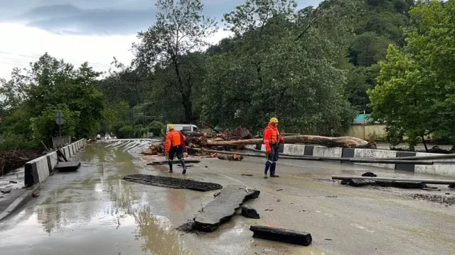 В Сочи из-за разлива реки затопило дома, власти закроют пляжи