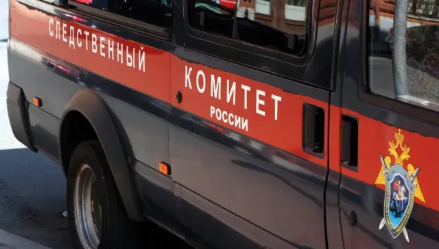 СК России проверит информацию о казни 20 мирных жителей в Снигиревке бойцами ВС Украины