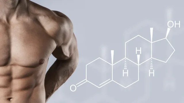 Россиянам назвали способ повысить уровень тестостерона без лекарств