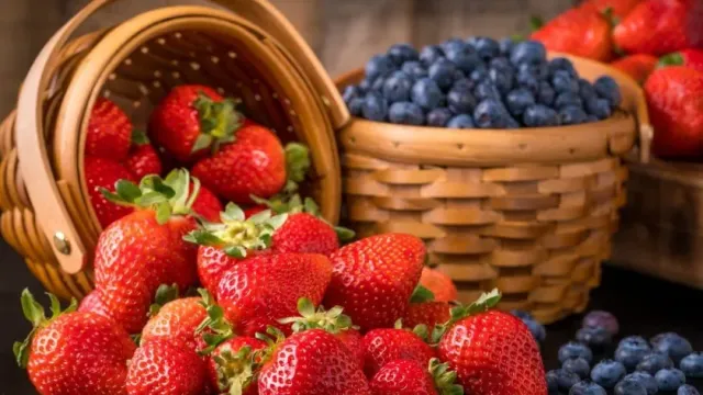 Диетолог Паниматкина предупредила о потенциальной опасности немытых ягод