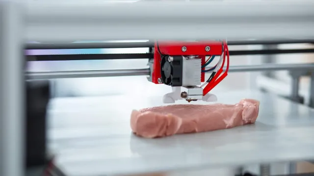 В России хотят начать печатать мясо на 3D-принтере