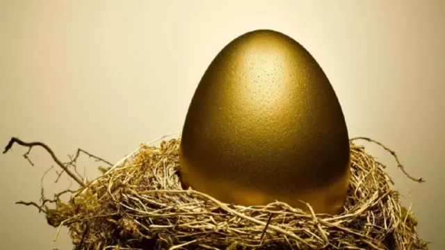 Профессор МГУ Журавлев раскрыл загадку золотого яйца со дна Тихого океана