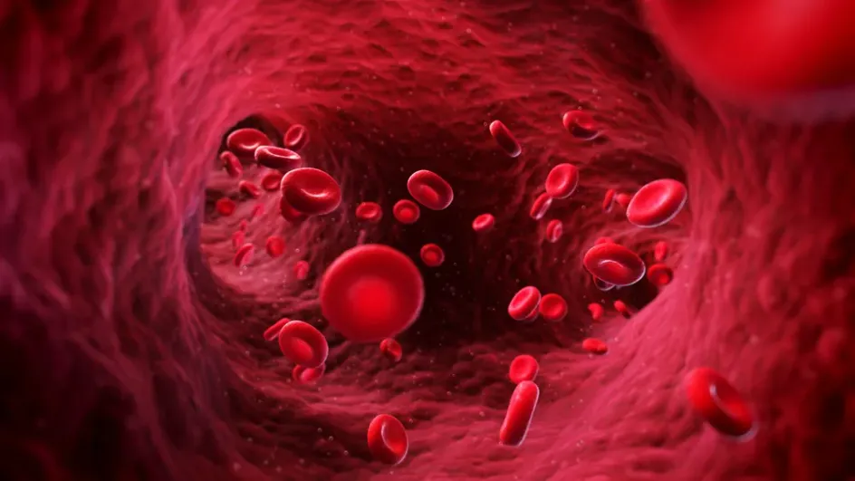 Кардиолог Голощапов: густая кровь может стать причиной инфарктов и инсультов