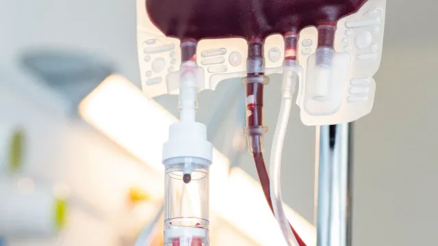 Учёный рассказал, может ли переливание молодой крови остановить старение мозга