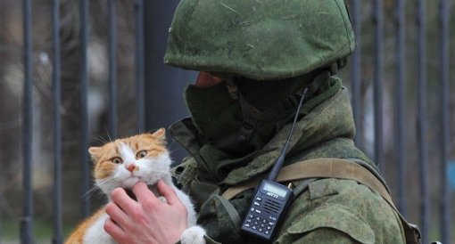 Кот спас девочку от смерти во время обстрела в ЛНР