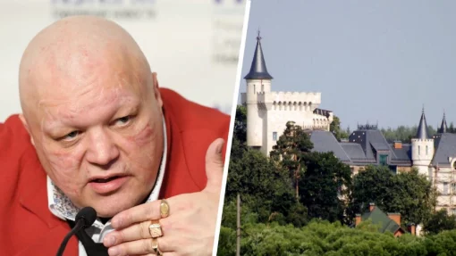 «Я был шокирован»: бизнесмен Барецкий рассказал об обстановке в замке Пугачевой