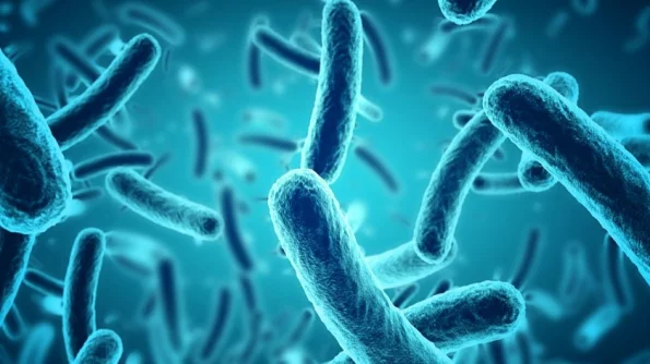 Ren.tv: в пробах Балтийского моря обнаружили бактерию-людоеда из США