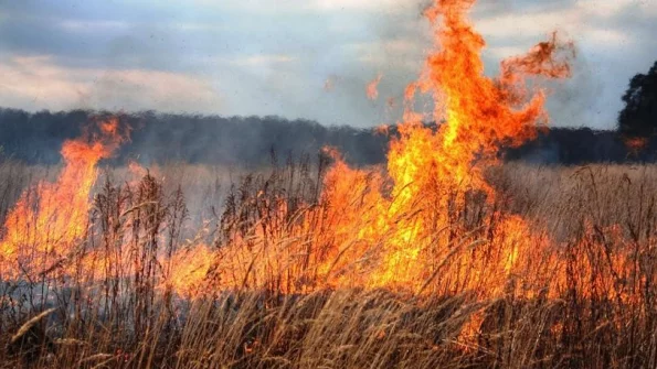 Российская пенсионерка сожгла шесть домов в попытках избавиться от сухой травы