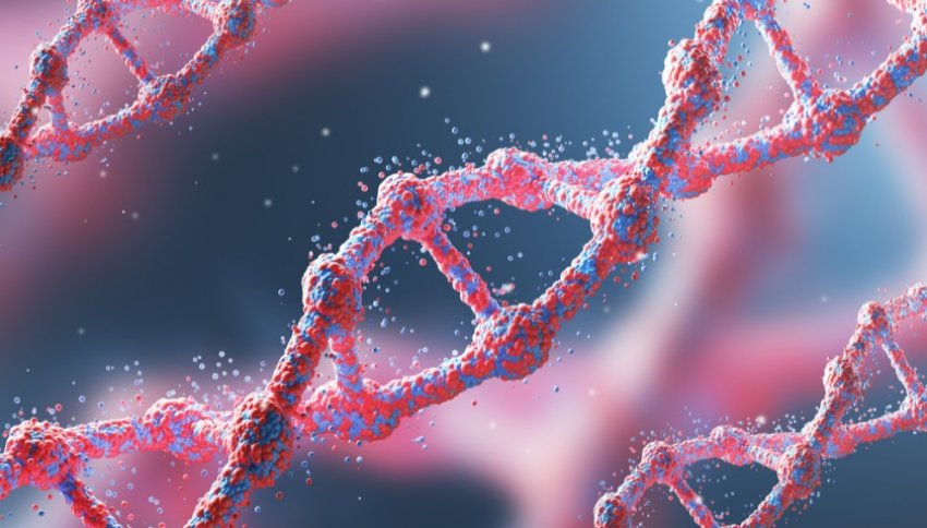 Корейские ученые изобрели код, показывающий влияние радиации на ДНК