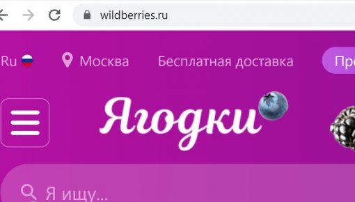 В Wildberries прокомментировали смену названия сайта на "Ягодки"
